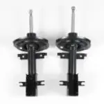 AMORT AV REN LAGUNA 2