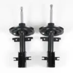 AMORT AV REN LAGUNA 2