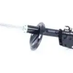 AMORT AV REN R21 NEVADA D