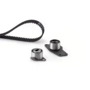 KIT CHAINE REN 87D KANGO/ CLIO/1.2*NM